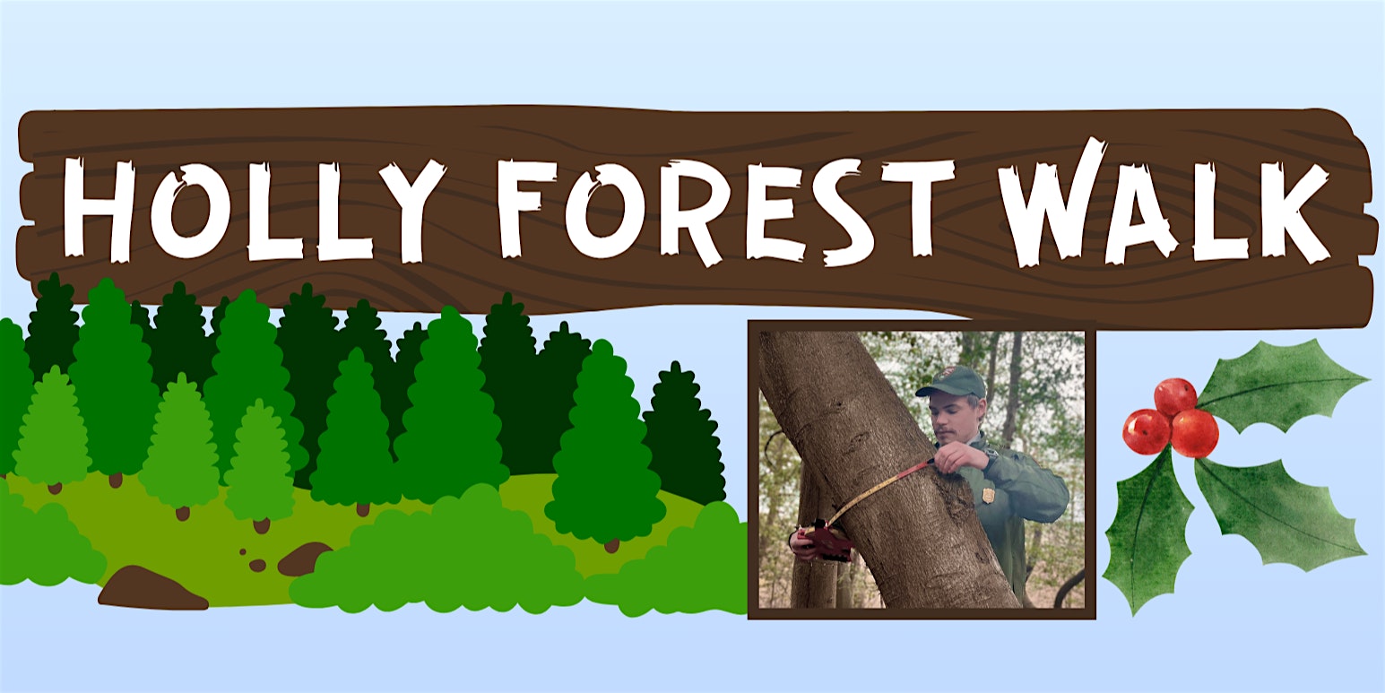 Winter Holly Forest Walk