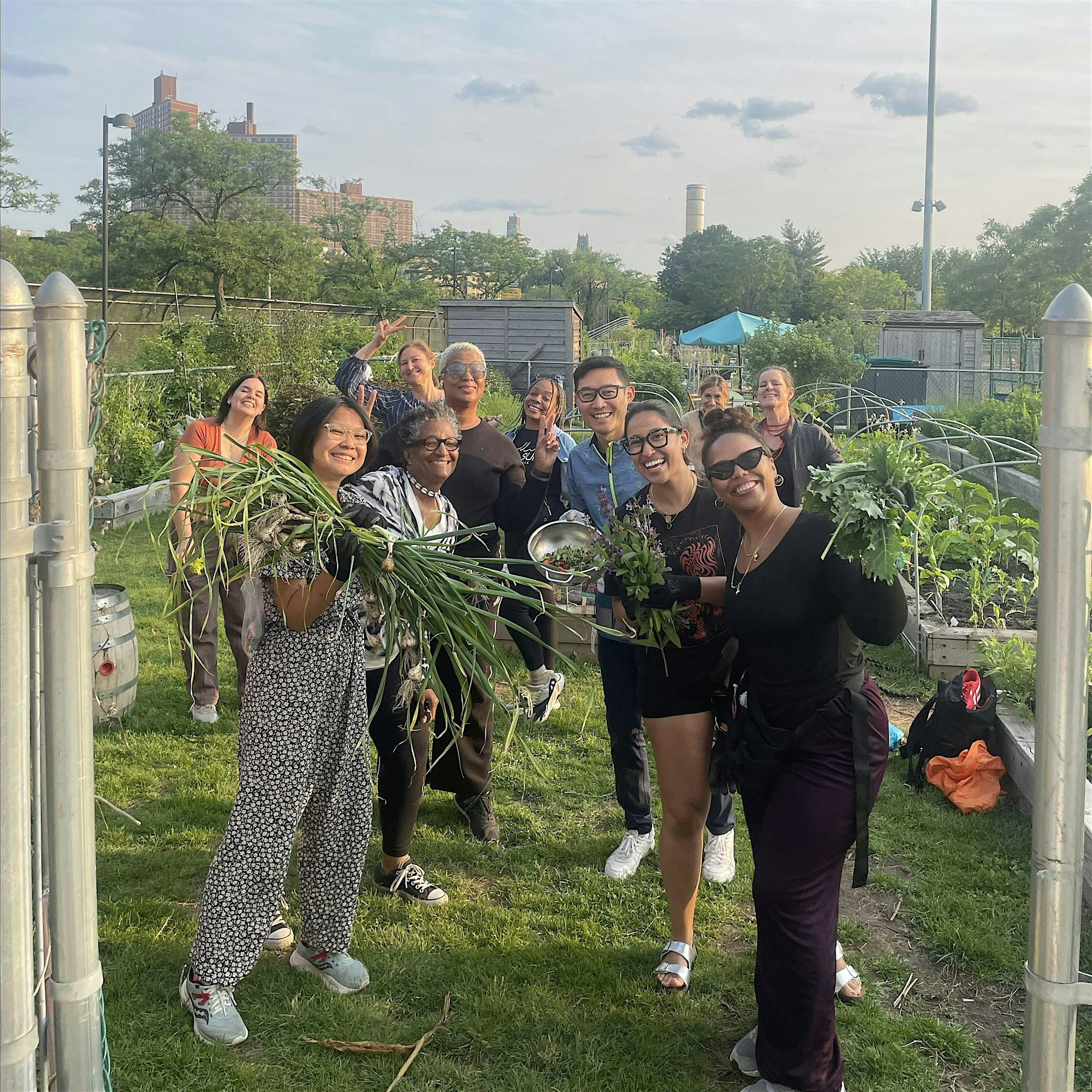 Urban Garden 101 – Soil,Seeds,and Crop Planning