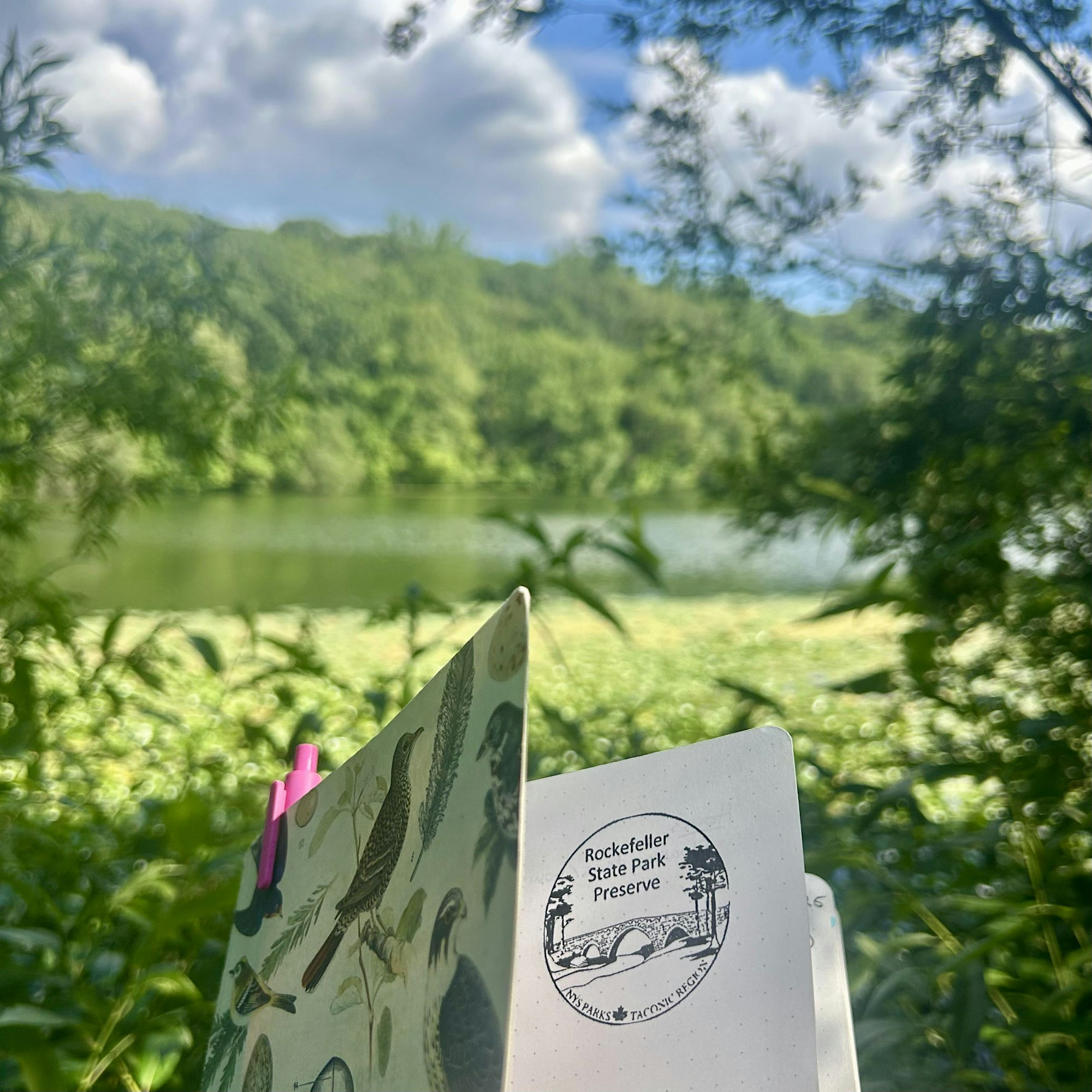 Park Photography, Poems, and Prose