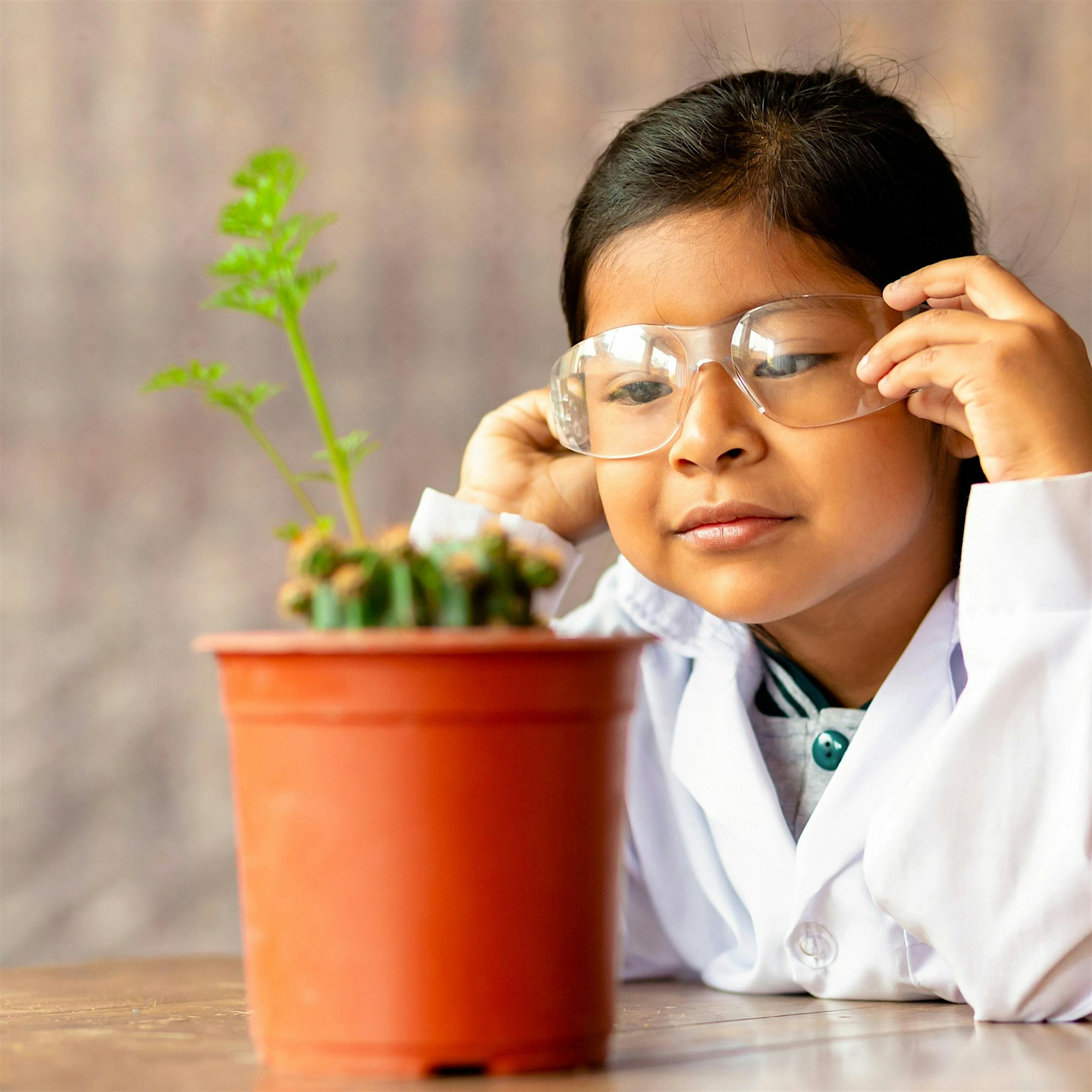 Child wearing safety goggles studies a potted plant at a table, focusing on the leaves.