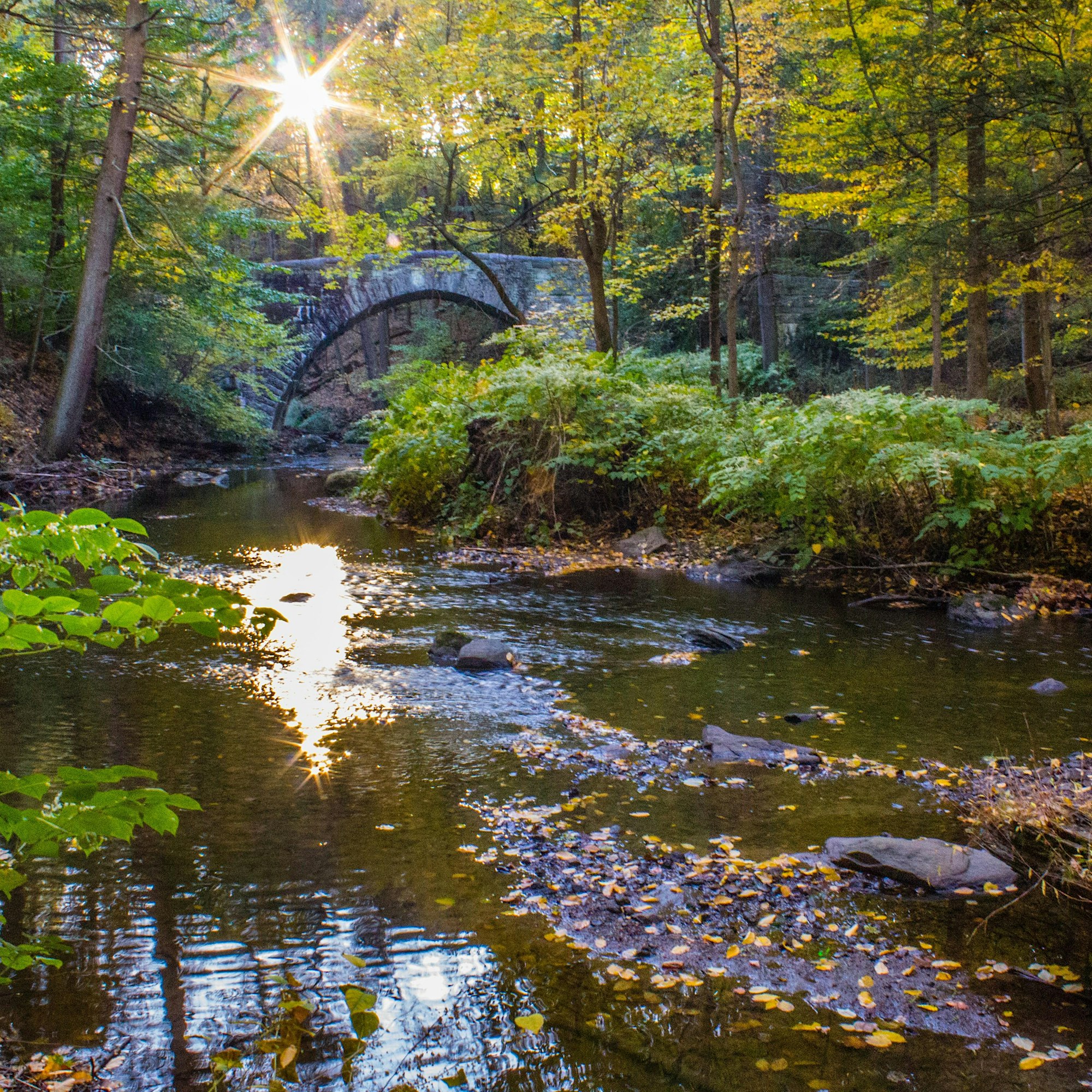 Sunlight streams through autumn trees onto a small stone arch bridge spanning a calm creek in a dense forest