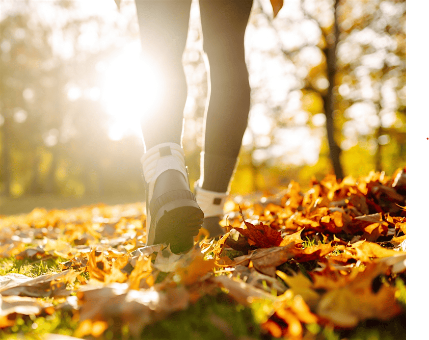 Person walking through a park in autumn leaves on a sunlit path, sneakers visible from behind.