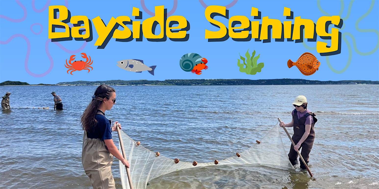 Two people in waders pull a seine net in shallow ocean water, with a bright banner reading 'Bayside Seining' above them and sea life icons in the sky.