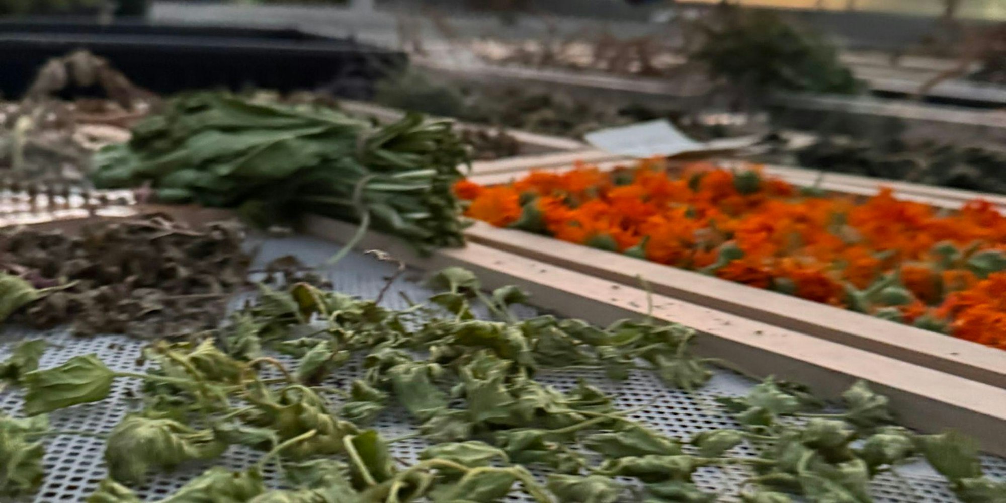 Piles of green leafy plant clippings and bright orange flowers on a perforated metal surface, likely yard waste.