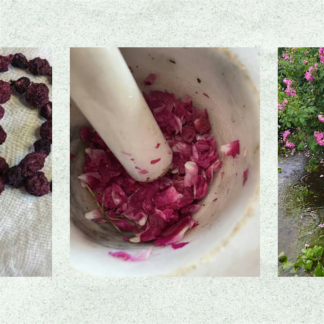 Pink rose petals crushed in a white mortar with a pestle.