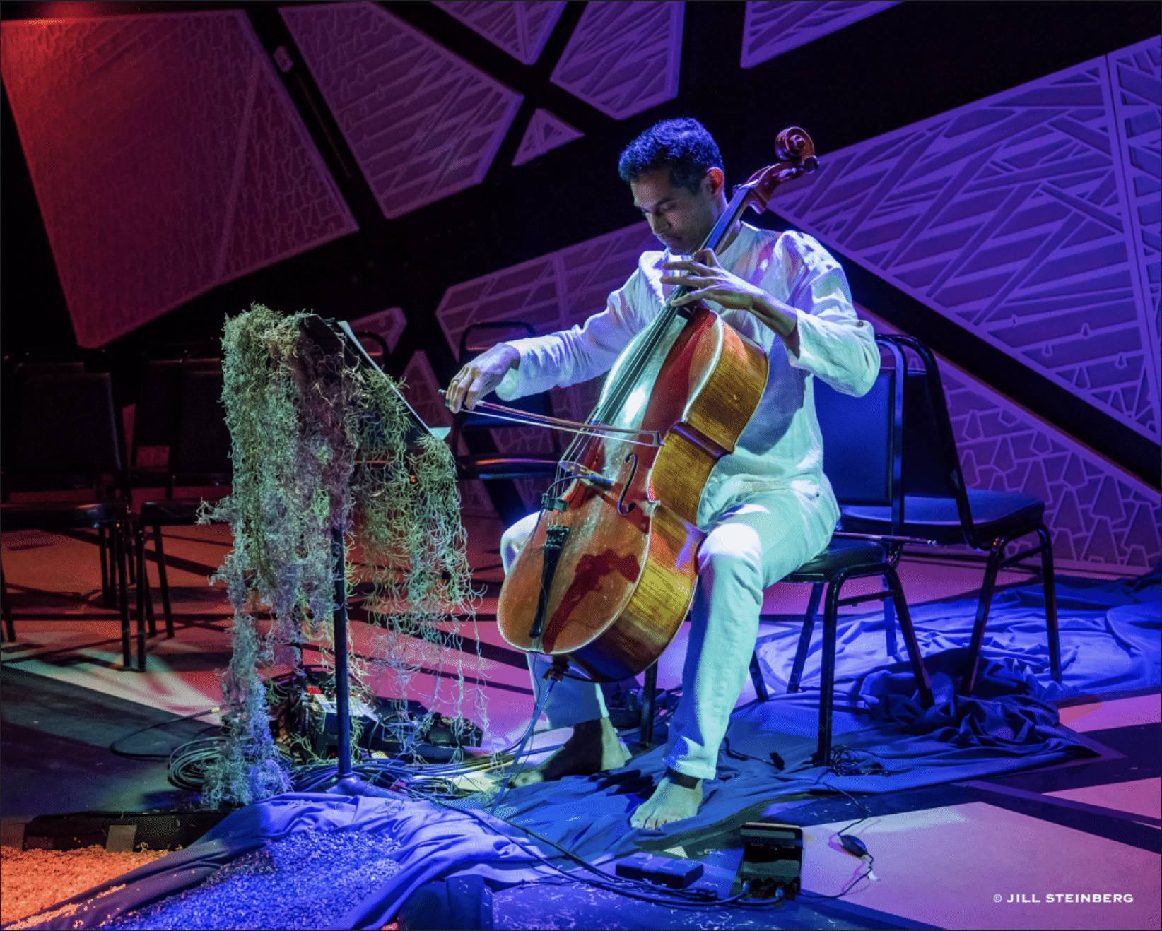 Cellist seated on stage, playing a cello under blue and purple lights with decorative greenery in the foreground.